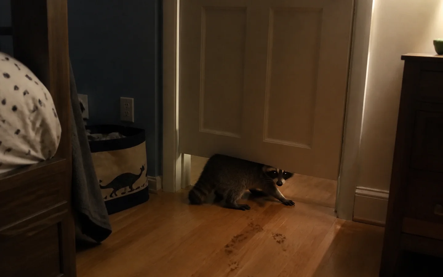 A small night creature caught retreating from a softly lit bedroom