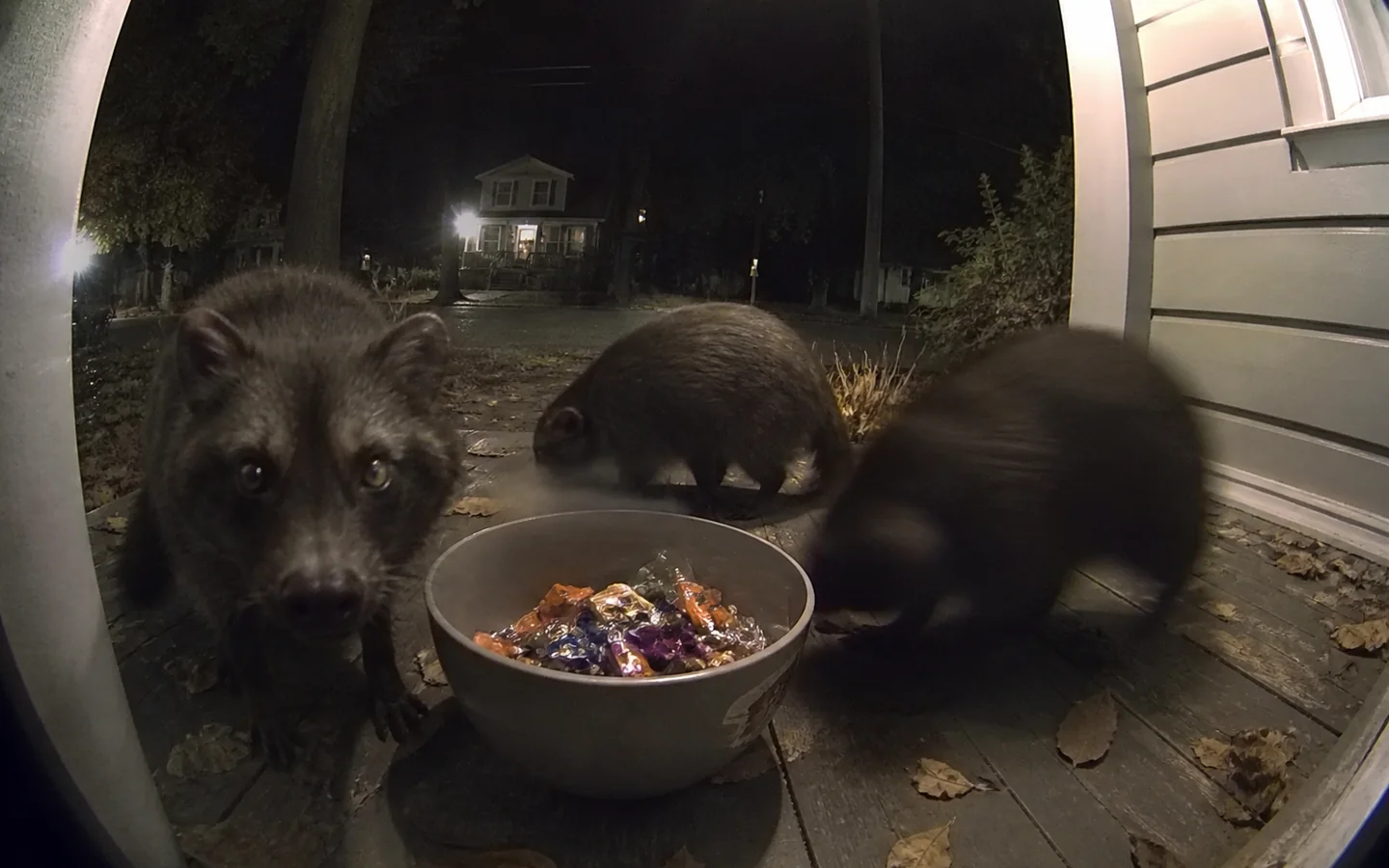 Shadowy Halloween visitors caught on a front porch security camera
