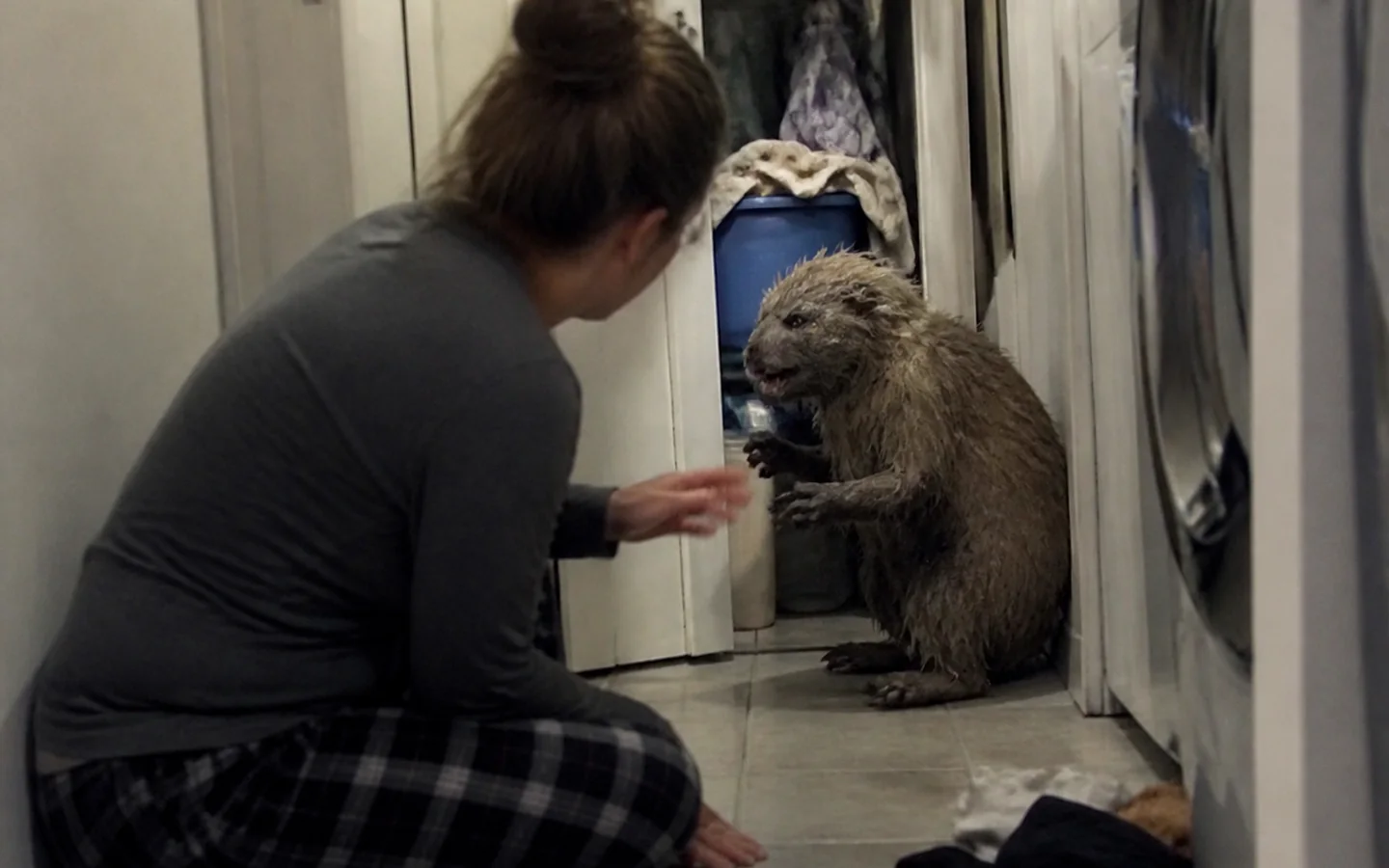 A parent caught meeting a large unknown creature in a real laundry room