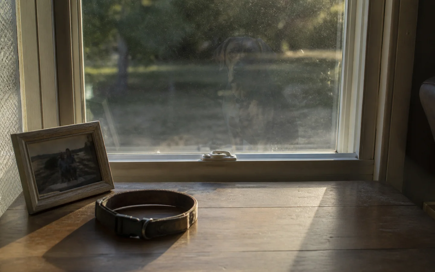 A real family keepsake photographed in warm window light with a subtle impossible reflection